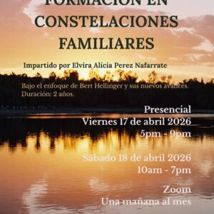 Formación en Constelaciones Familiares