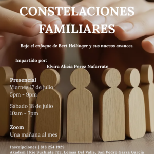 Formación en Constelaciones Familiares