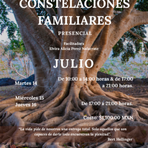 Constelaciones Familiares - Grupo Abierto