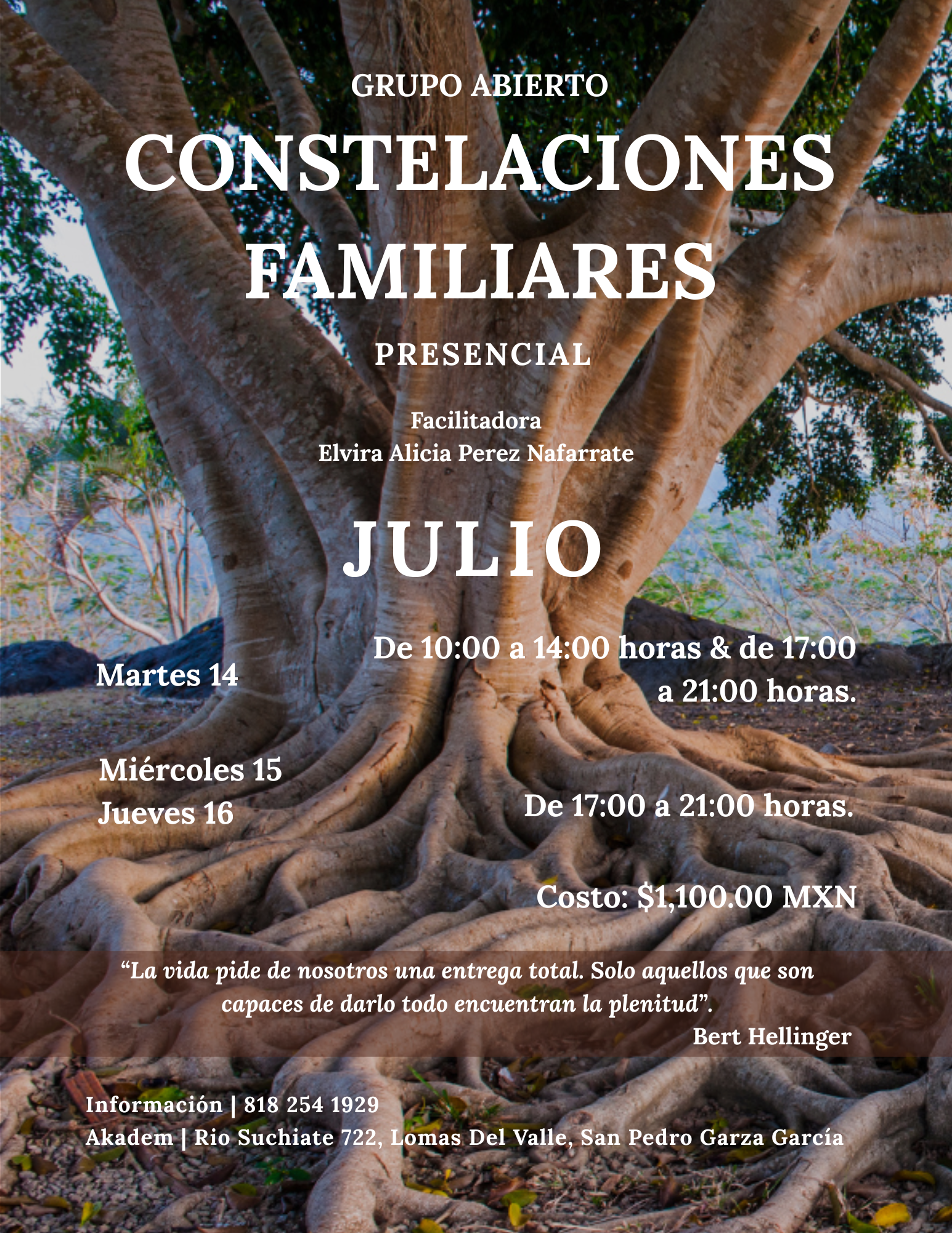 Constelaciones Familiares - Grupo Abierto