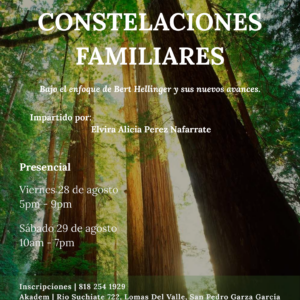 Formación en Constelaciones Familiares