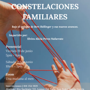 Formación en Constelaciones Familiares