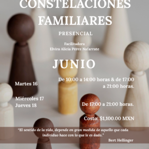 Constelaciones Familiares - Grupo Abierto