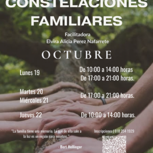 Constelaciones Familiares - Grupo Abierto